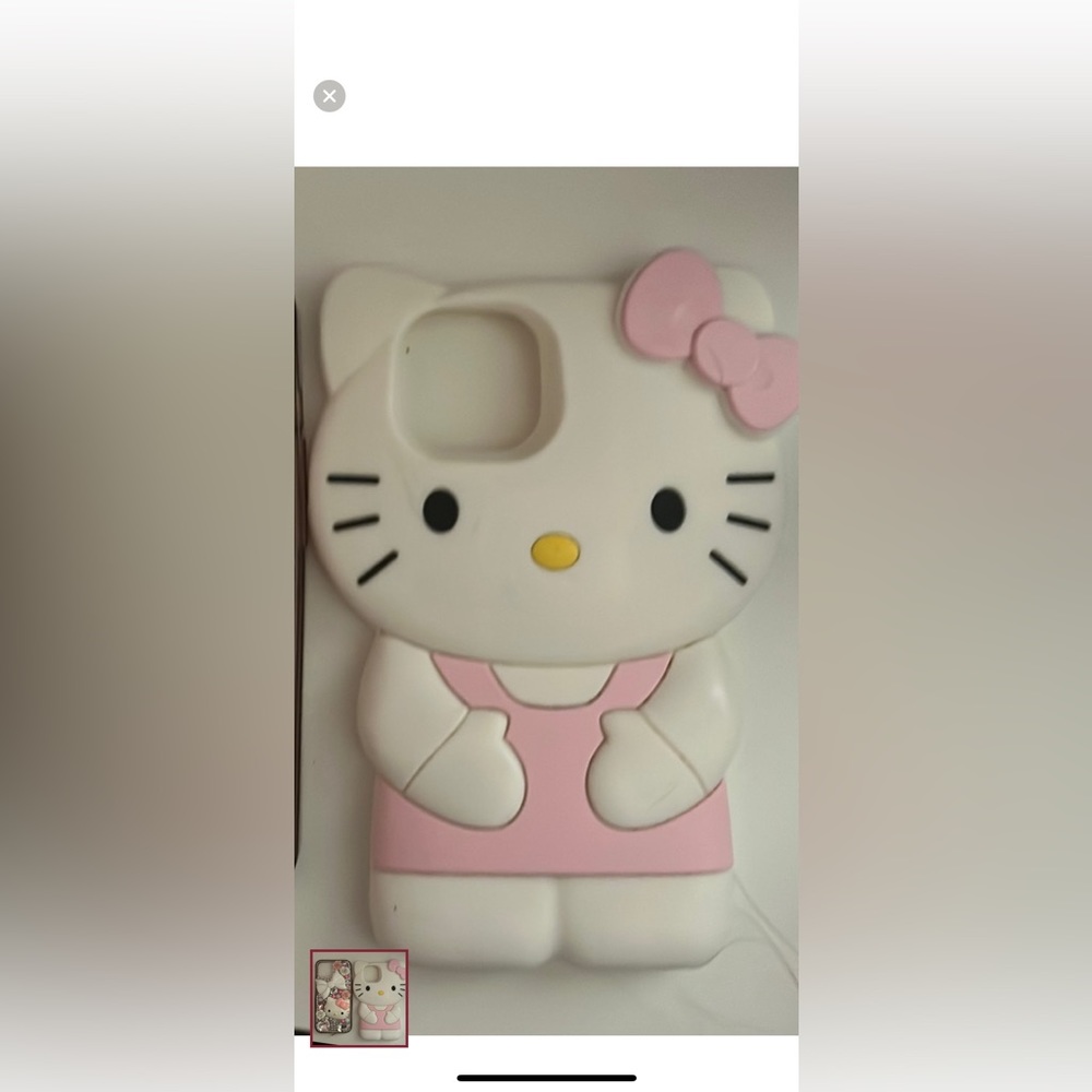 Hello kitty case